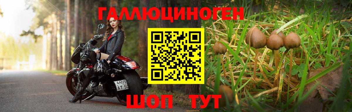 Обнинск  Галлюциногенные грибы ЛСД  магазин продажи наркотиков  Вход с VPN 