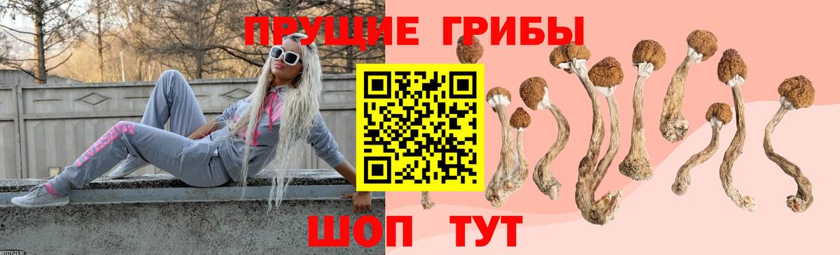 Псилоцибиновые грибы мухоморы Обнинск